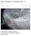 흔한 자동차 유리 강도 테스트