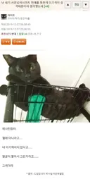 나이 30넘어서도 연애를 못하면 이기적인 성격때문이라 생각했어..