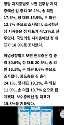 오늘 발표된 차기 당대표 조사