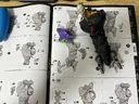 창모완 에반게리온 만드는중이야