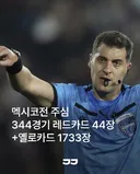 멕시코전 심판 근황