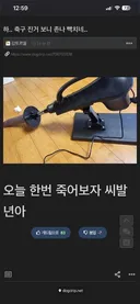 월드컵 진게 너무 화났던 청년.dogdrip