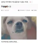 상식) 우주에서 섹 스를 할수없는 이유 . JPG