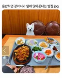 혼밥하면 강아지가 앞에 앉아준다는 밥집