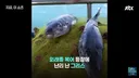 한국의 도움이 긴급히 필요해 보이는 그리스 근황