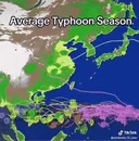 동남아 태풍 체감하기.gif