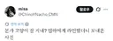 엄마 고양이 잘지내? 라고 물으니 보내오신 사진
