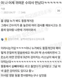 야 나 어제 귀여운 수의사 만났다 ㅋㅋㅋㅋㅋㅋㅋ.jpg