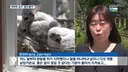 아파트 덕분에 번식률이 증가했다는 촉법동물