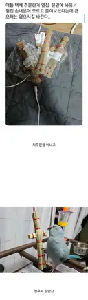 택배 주문한거 옆집 손녀가 뜯어봤네