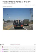 충격적인 동물 학대