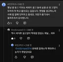 "새덕후" 고양이 영상에 달린 충격적인 댓글 (잔인함 주의)