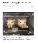 돼지 아이스크림 주세염