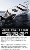 요즘 범고래들 트랜드 근황