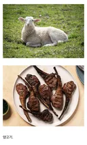 한국인들에게 은근 호불호 갈리는 육고기.jpg