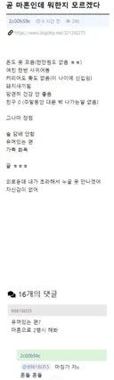 곧 마흔인데 뭐한지 모르겠다.
