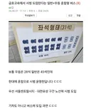 이번에 도입한다는 우등-일반 혼합좌석제 버스