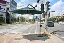 일본에 전파되었다는 한국의 특산품