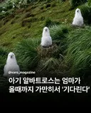 엄마 올 때까지 서서 기다리는 새끼들