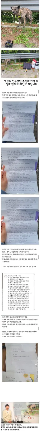 탄천 공영 주차장에 버려진 강아지+후기