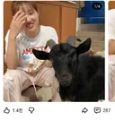 어떤 유튜버가 올린 4장의 사진