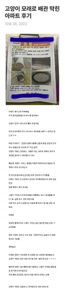 고양이 모래로 배관 막힌 아파트