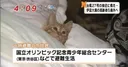 태풍 때문에 임시 대피소로 대피한 주민의 모습