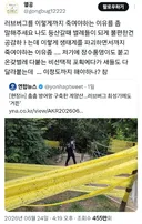 첫 문장 밖에 귀에 안들어옴.jpg