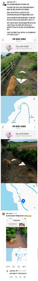 울릉도 죽도 카카오맵 로드뷰가 2010년에 멈춘 이유