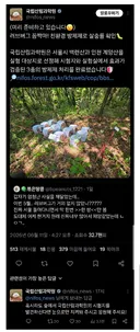 올해 러브버그 잘 안 보이는 이유.jpg