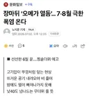 장마뒤 ‘오메가 열돔’… 7·8월 극한폭염 온다