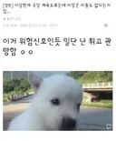 주식)지금 국장 오르는게 위험 신호인 이유
