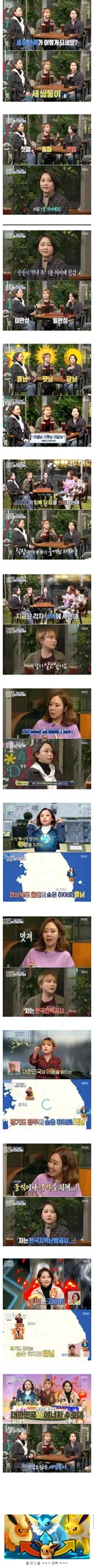 한국 현실판 이브이 세쌍둥이.jpg