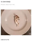 아 오빠 하지마앙