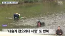 의외로 한국인을 많이 죽인 동물.jpg