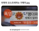 피해자 코스프레하는 가해자