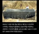 300년전 조상묘 파묘했다가 후손들이 모두 놀란 이유