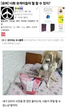 WWE에서 총을 갈겨버림