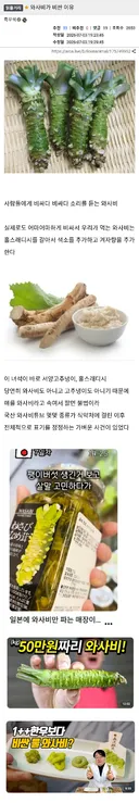 와사비가 비싼 이유