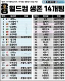 피파랭킹 기준 현재 월드컵 생존 14개팀..