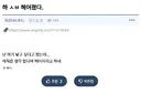 애인이 아기 낳기 싫다고 해서 헤어진 개붕이