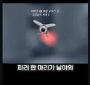 사망 63명 부상 32명 한 사람의 무차별 범죄