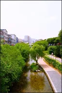 비가 쏟아진 후 서울 청계천 모습