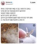 성체가 되면 입이 퇴화하는 동물.jpg