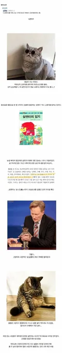 경상도 토박인데 유게에서 처음 배운 경상도 사투리