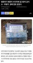 멸종위기 맹꽁이 서식지에 지자체가 벌인 일