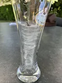 맥주잔에 갇힌 거미의 최후..jpg
