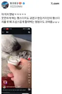 아이스크림 나눠먹는 강아지와 햄스터