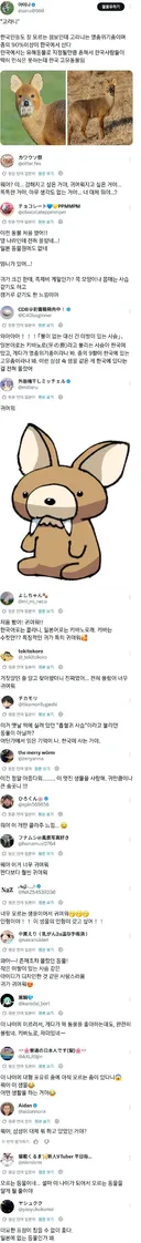 고전) 고라니 처음 본 일본인들 반응