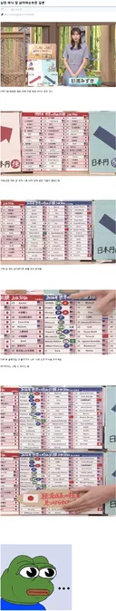 삼성전자와 하이닉스를 싫어하는 것 같은 일본